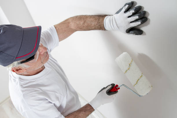 Best Mold Removal for HVAC Installations  in Whitehall, MI
