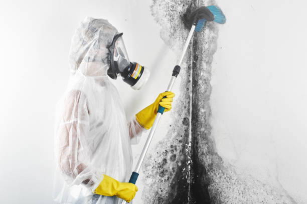 Best Post-Remediation Verification Testing  in Whitehall, MI