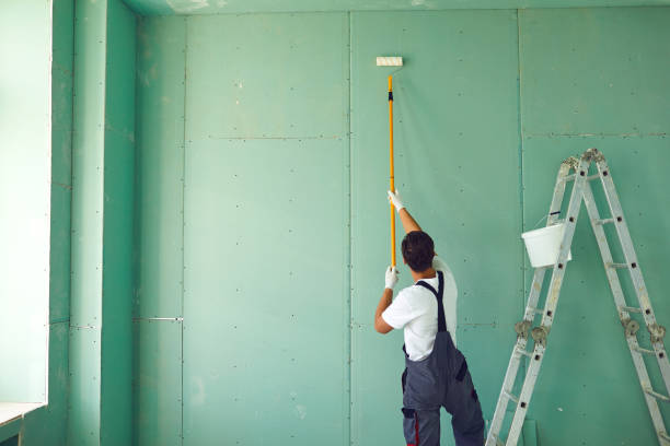 Professional Mold Removal in Whitehall, MI