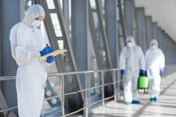 Best Mold Damage Restoration  in Whitehall, MI