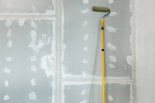 Trusted Whitehall, MI Mold Removal Experts