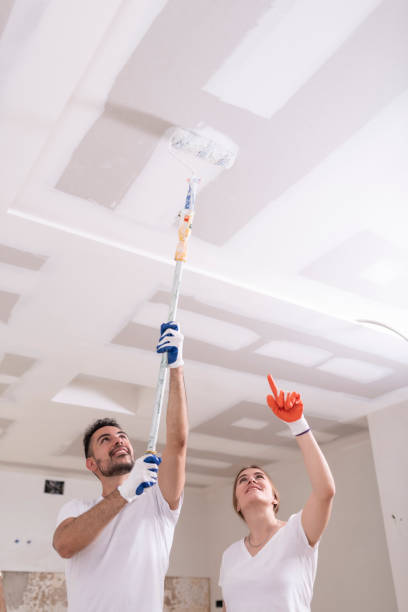 Best Black Mold Removal  in Whitehall, MI