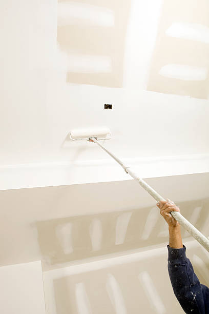 Best Black Mold Removal  in Whitehall, MI