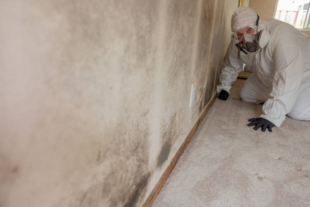 Best Indoor Air Quality Assessment  in Whitehall, MI