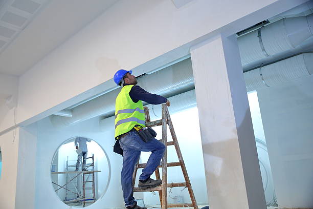 Best Forensic Mold Investigation  in Whitehall, MI